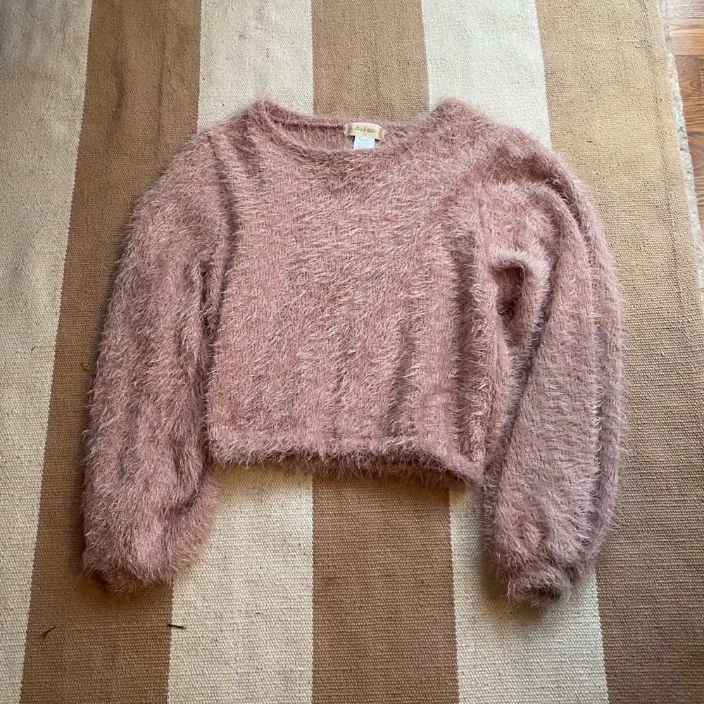 ALTARD STATE FUZZY SWEATER
